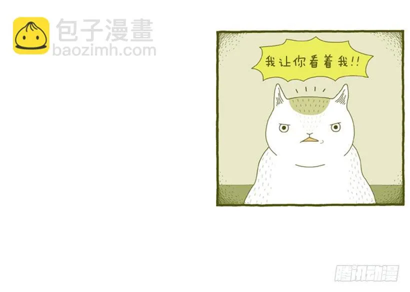 求关注 第13页