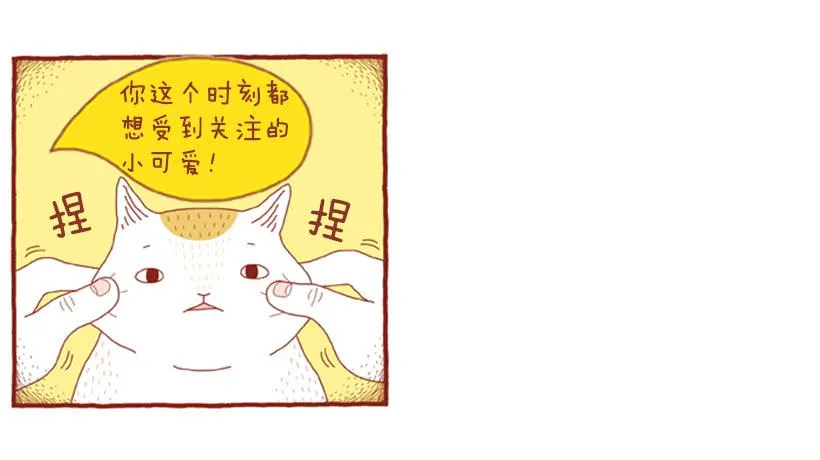 求关注 第15页