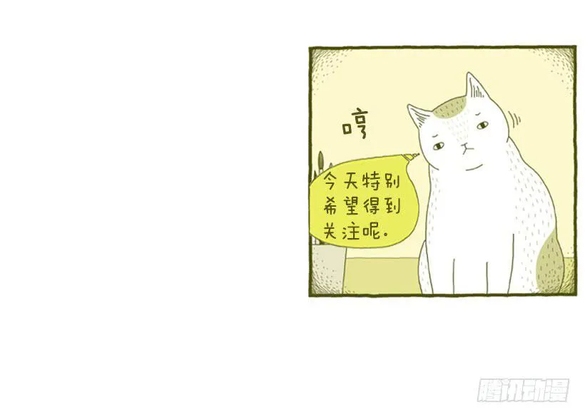 求关注 第21页