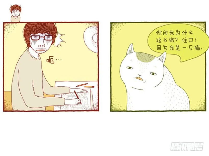 求关注 第26页