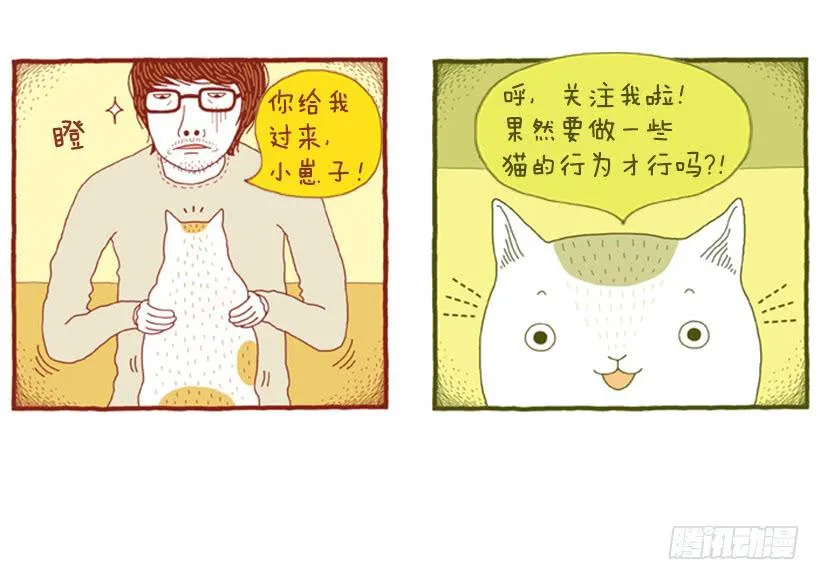 求关注 第28页