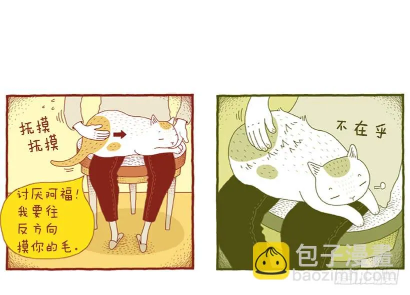 求关注 第29页