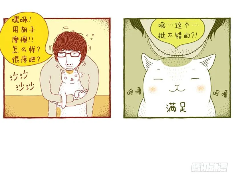 求关注 第30页