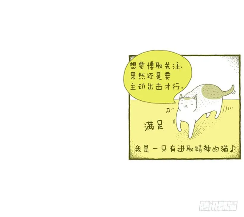 求关注 第31页