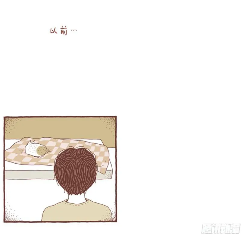一开始的鸡飞狗跳 第10页