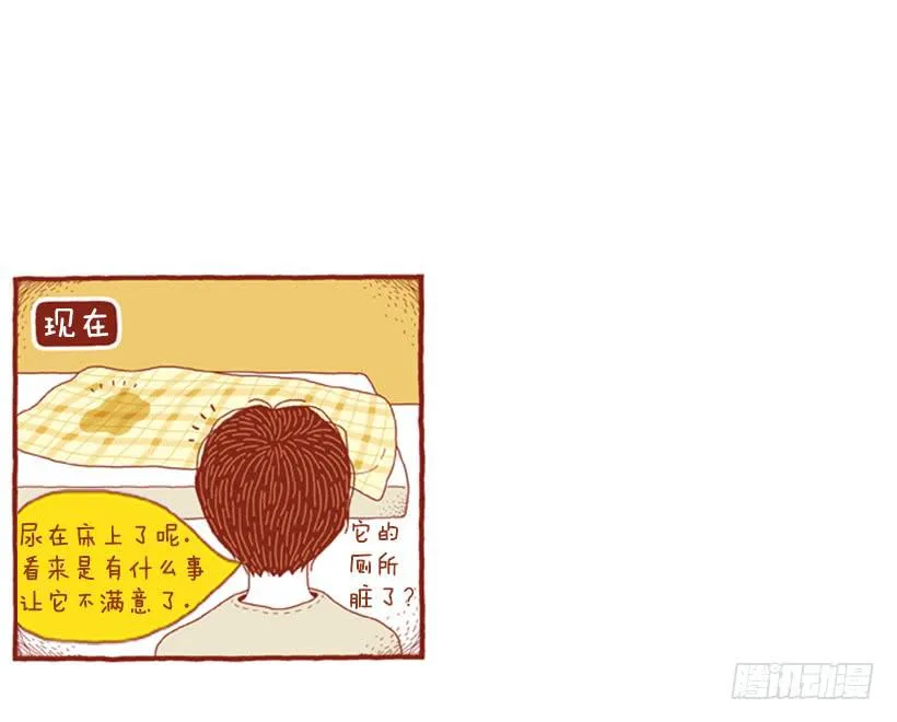 一开始的鸡飞狗跳 第17页