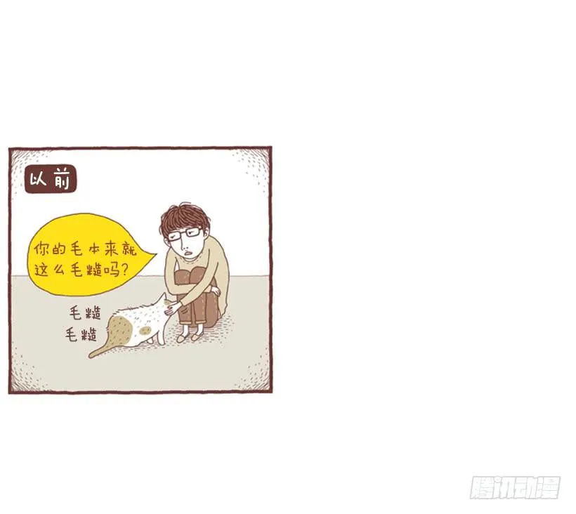 一开始的鸡飞狗跳 第19页