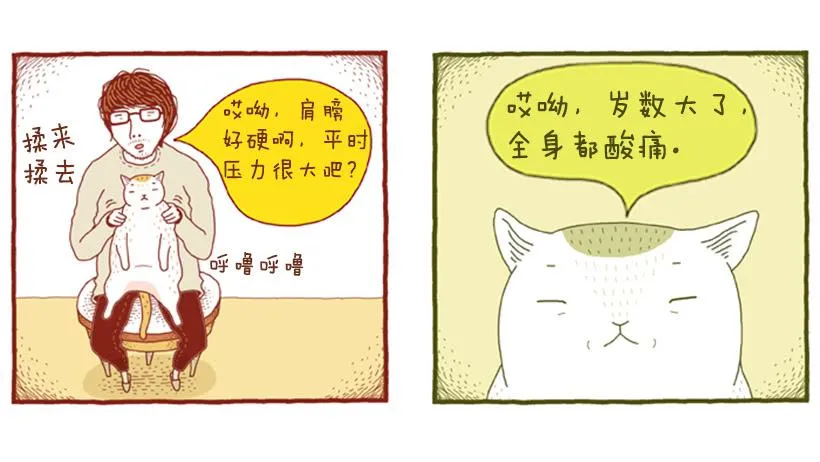 510号按摩房 第21页