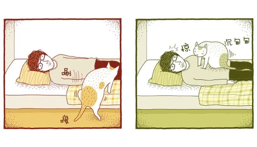 510号按摩房 第28页