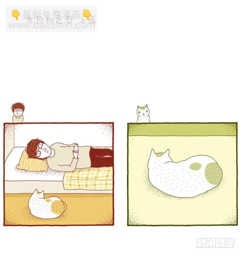 生日和忌日 上篇 第2页