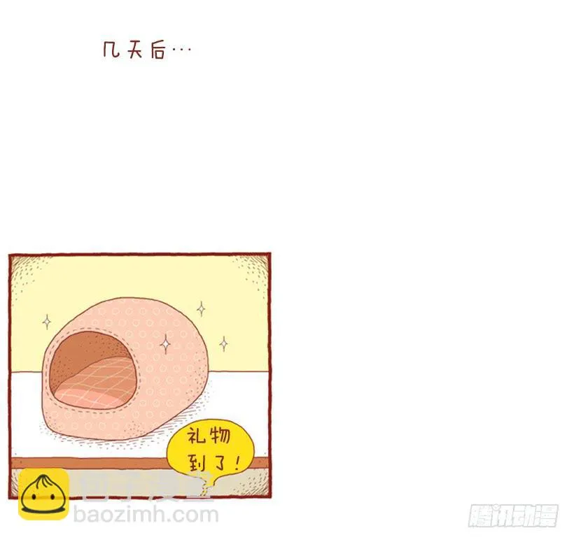 只属于我们的生日派对 第33页