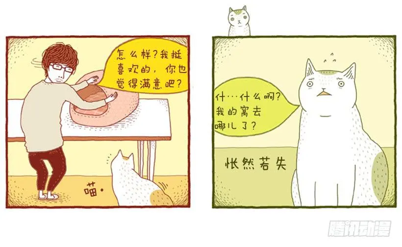 只属于我们的生日派对 第35页