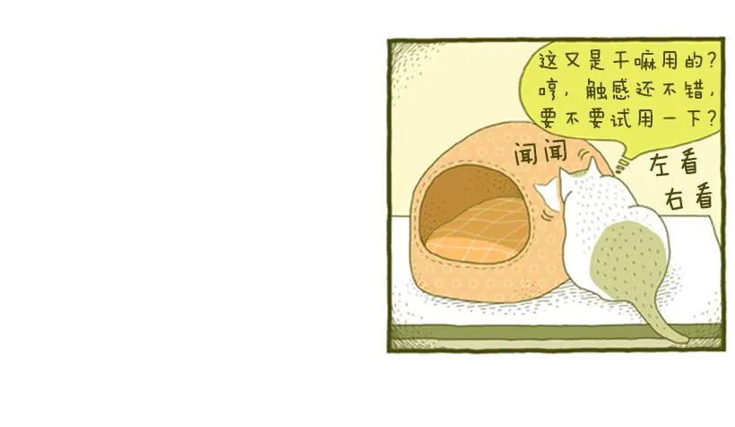 只属于我们的生日派对 第37页