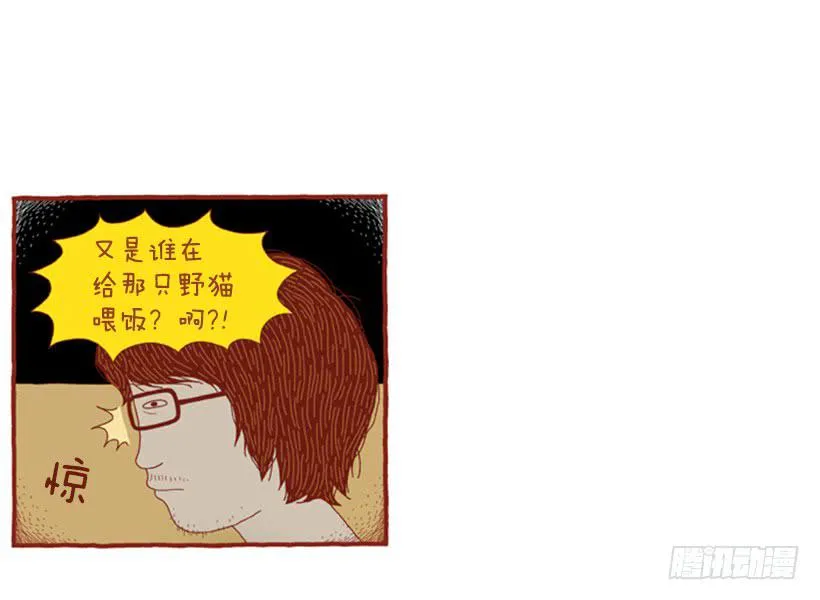 喜欢猫的女人 上篇 第47页