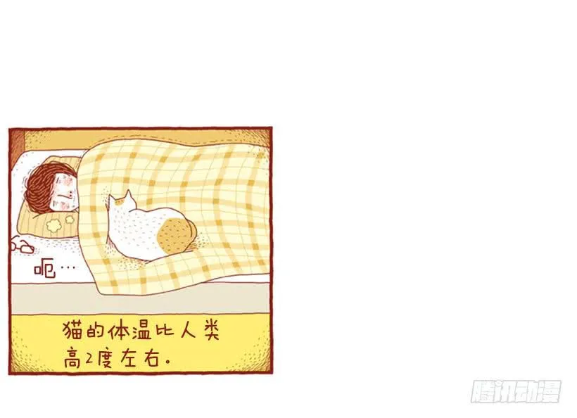 只有我平安，你才会无事 第5页
