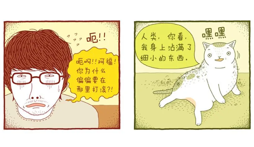 打扫卫生的后果 第8页