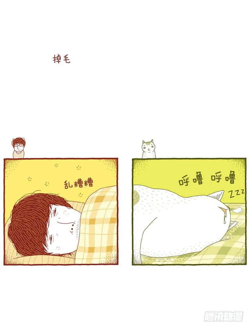 掉毛 第2页