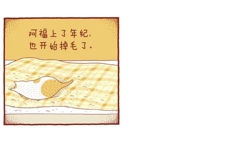 掉毛 第14页
