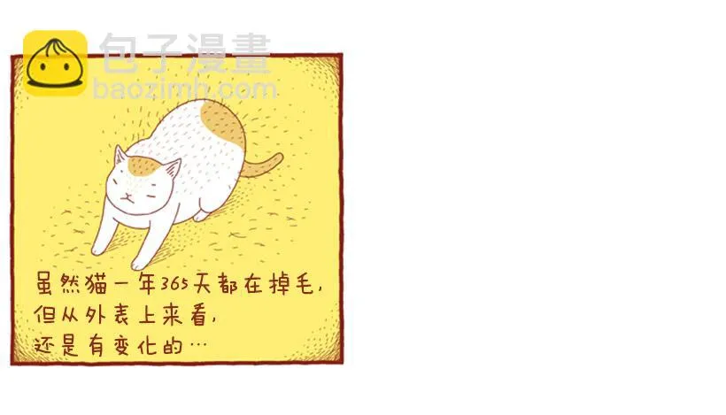 掉毛 第15页