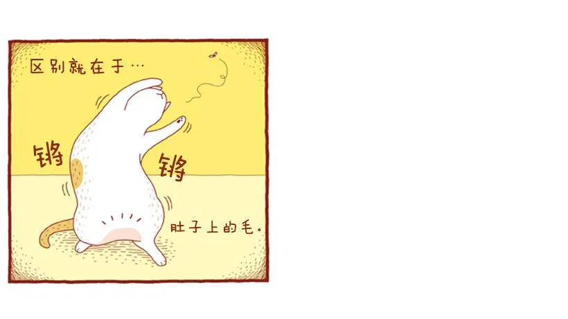 掉毛 第16页