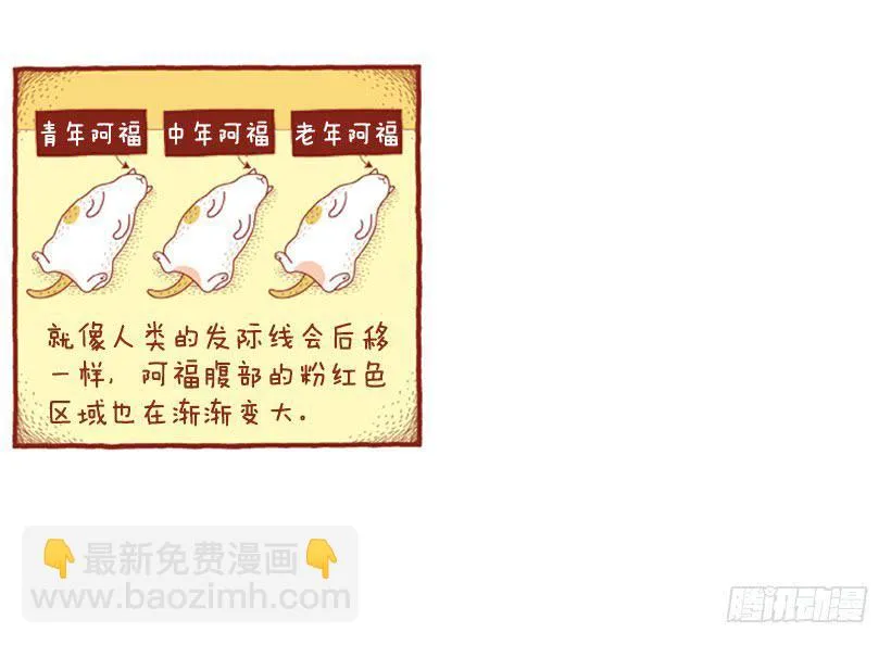 掉毛 第17页