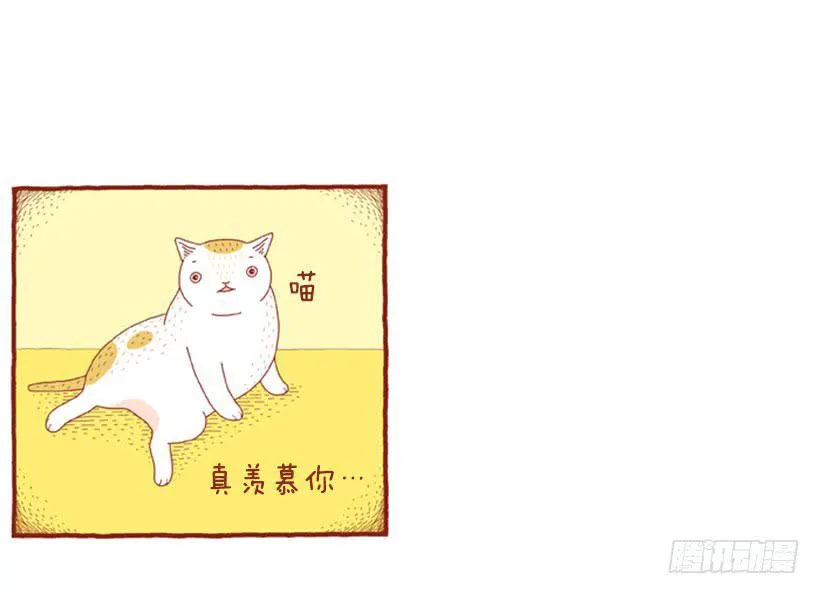 掉毛 第18页