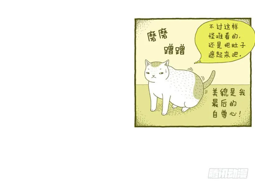 掉毛 第25页