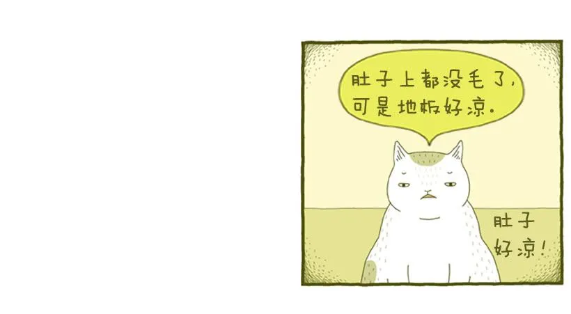 掉毛 第27页