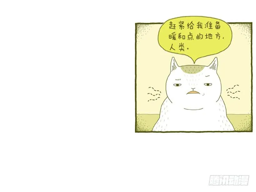 掉毛 第28页