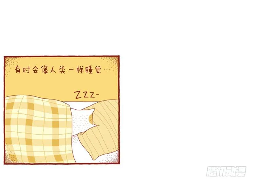 人也跟猫一样 第14页