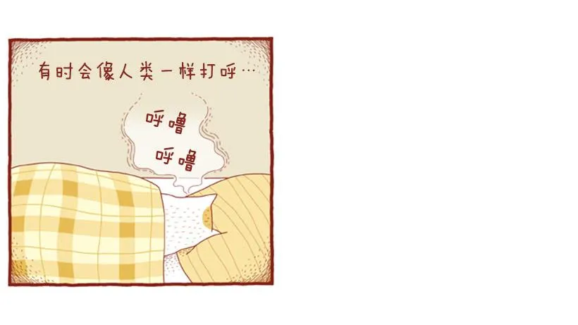 人也跟猫一样 第15页