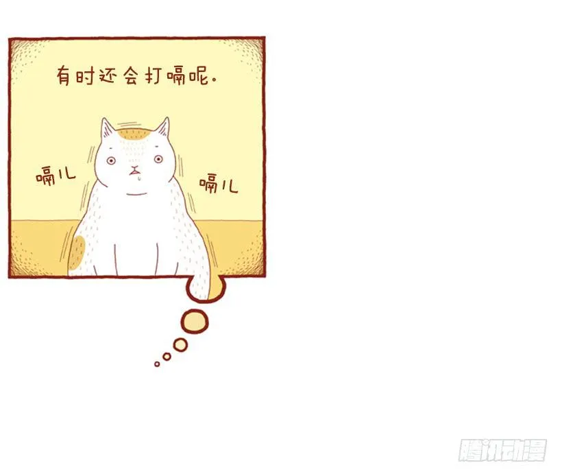 人也跟猫一样 第17页