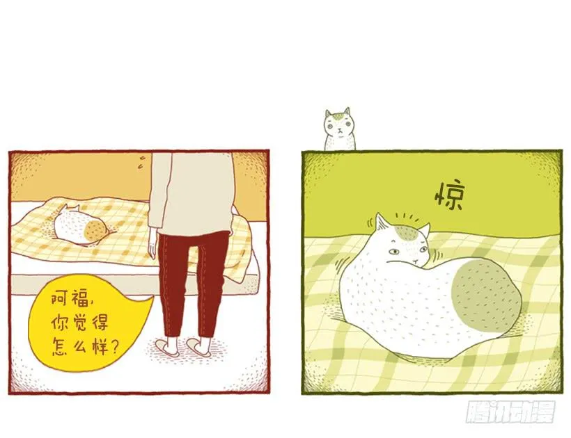 那个女人的影响 第6页