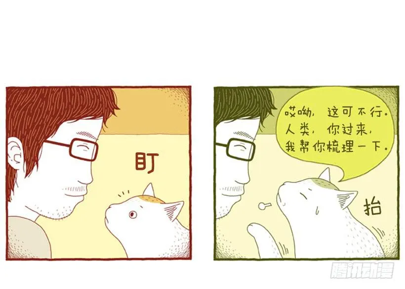 那个女人的影响 第11页