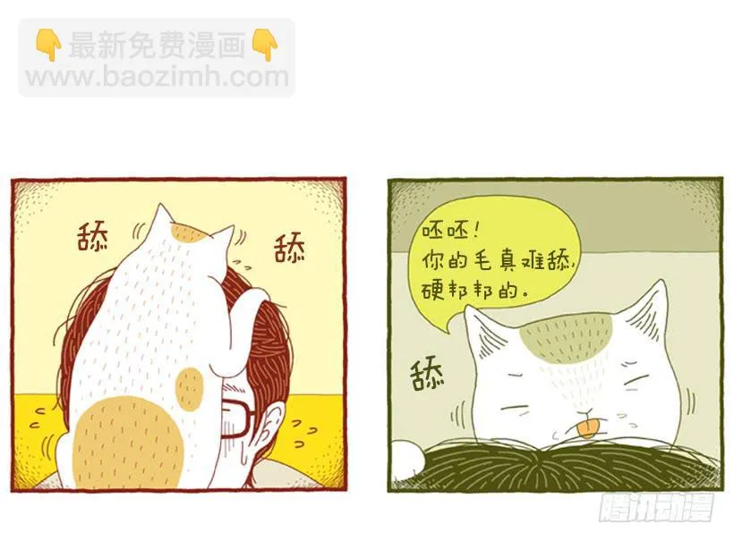 那个女人的影响 第13页