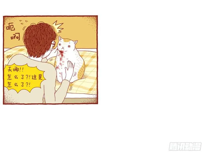自我怜悯的泥潭 第8页