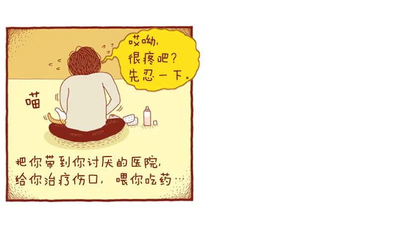 自我怜悯的泥潭 第11页