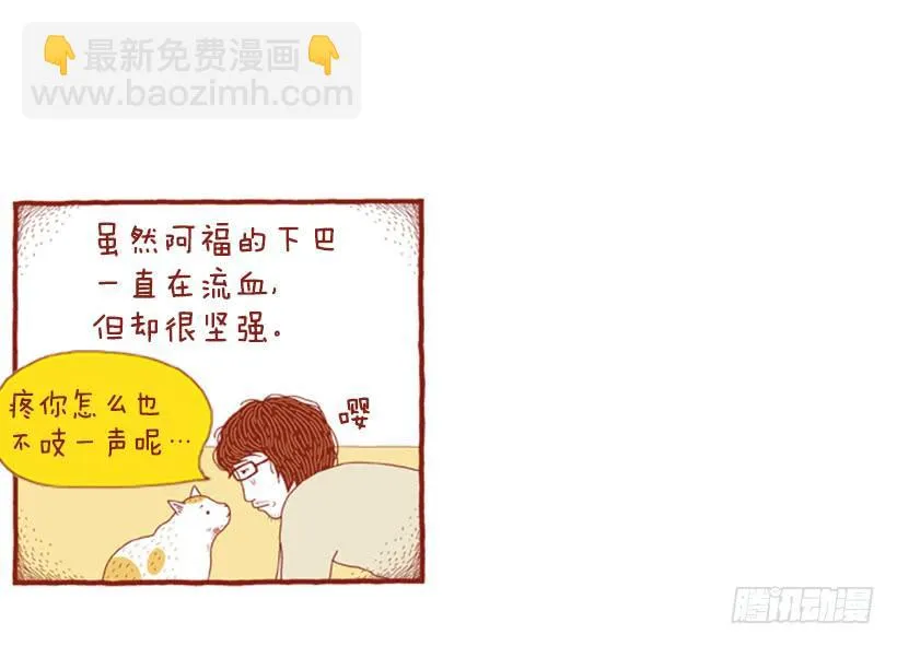 自我怜悯的泥潭 第14页
