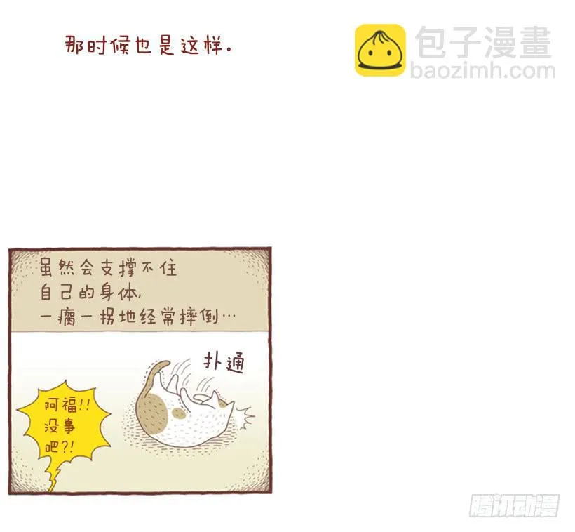 自我怜悯的泥潭 第16页