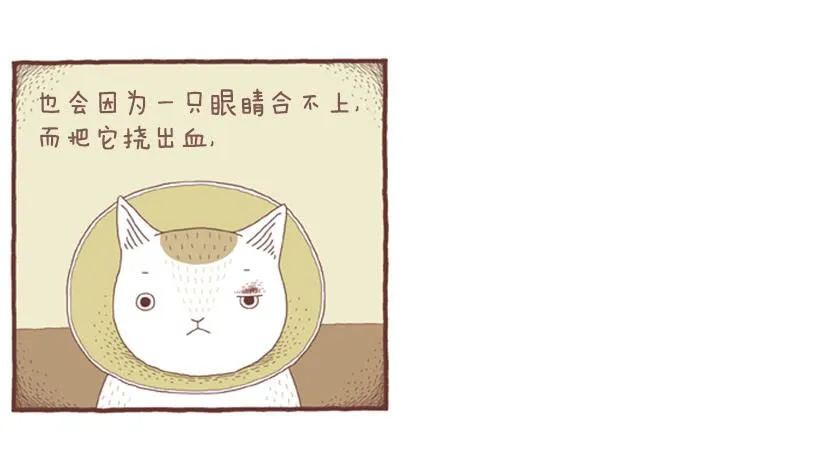 自我怜悯的泥潭 第17页