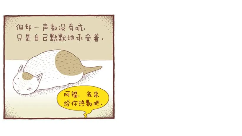 自我怜悯的泥潭 第18页
