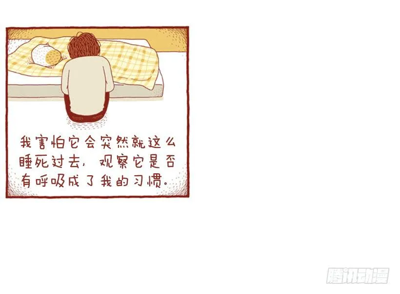 只要你呼吸就好 第17页