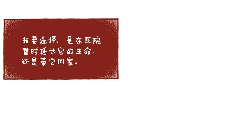 恬静深沉的梦 第4页