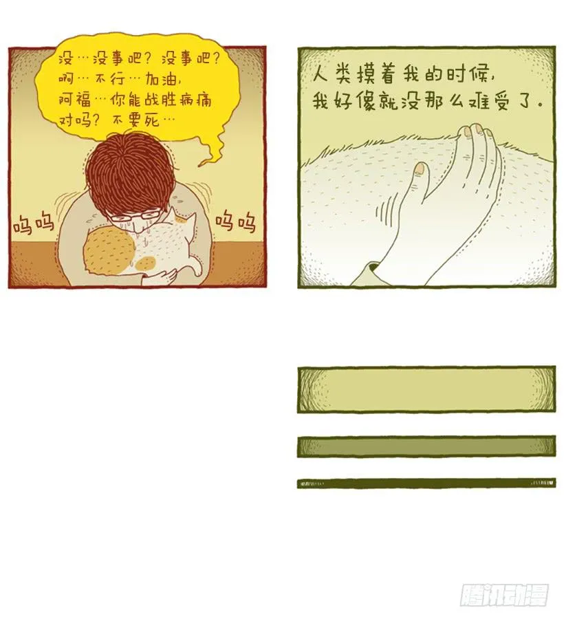 恬静深沉的梦 第20页