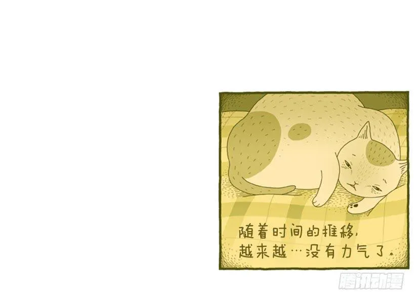 恬静深沉的梦 第22页
