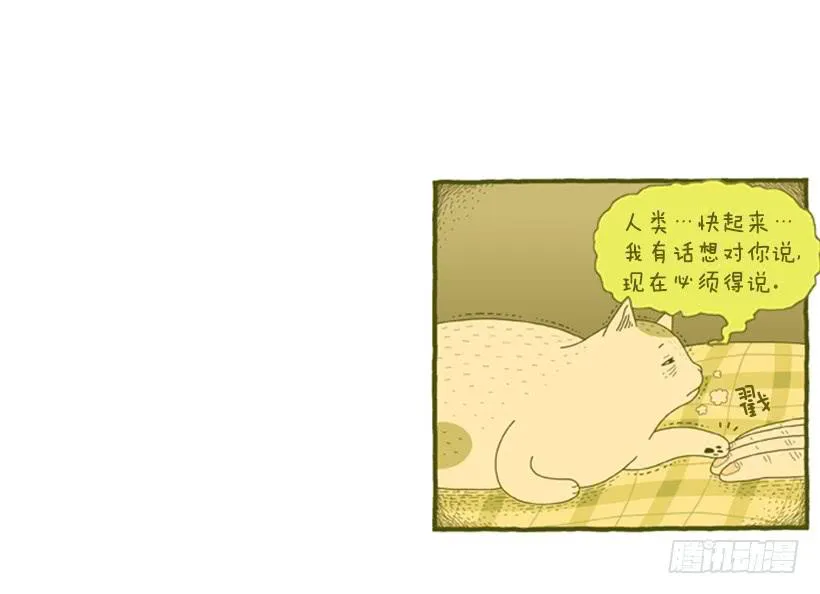 恬静深沉的梦 第38页