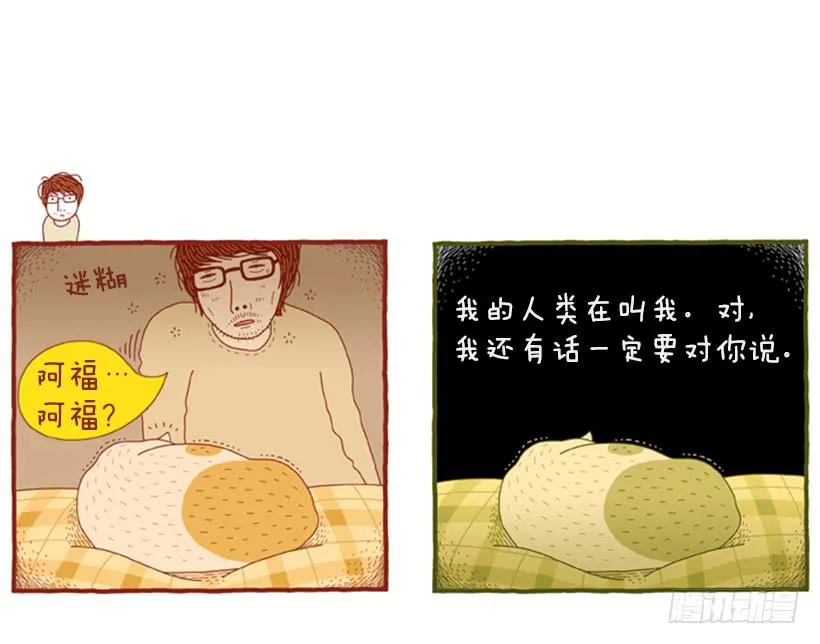 恬静深沉的梦 第40页