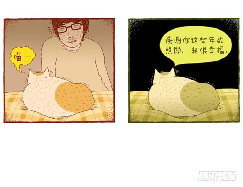 恬静深沉的梦 第41页