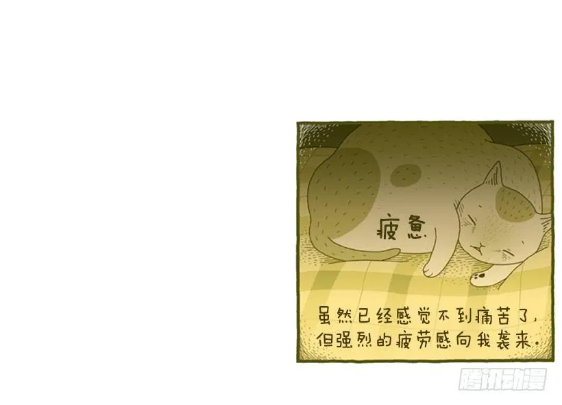 恬静深沉的梦 第42页