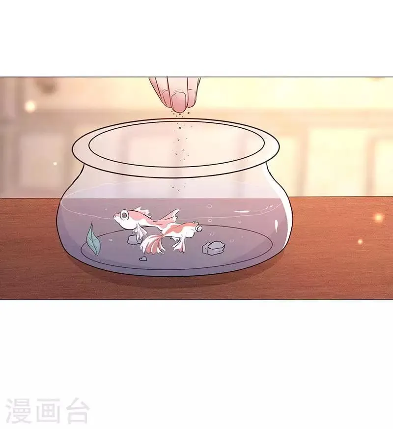 第13话 定婚约 第4页